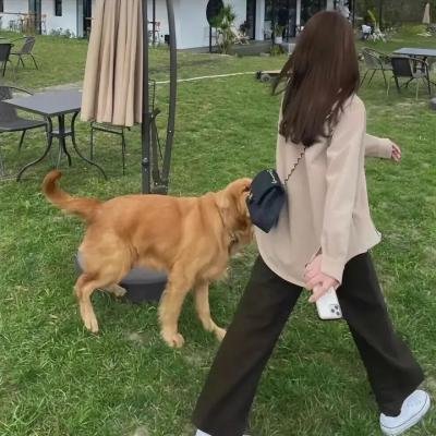 纯情
